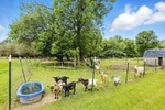 Country Property For Sale